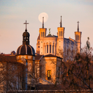 ©Iulian Rotaru